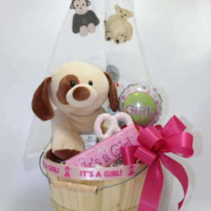 The best new baby gifts in Pittsburgh. Baby Boy gifts. Baby Girl gifts. The most creative gift baskets for new parents and babies in Pittsburgh. Local delivery available.