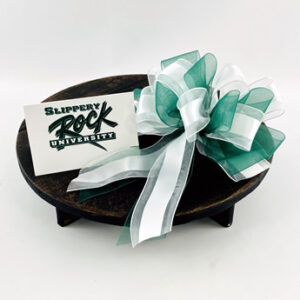 Slippery Rock Ribbon